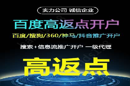 成功SEM服务案例分析报告